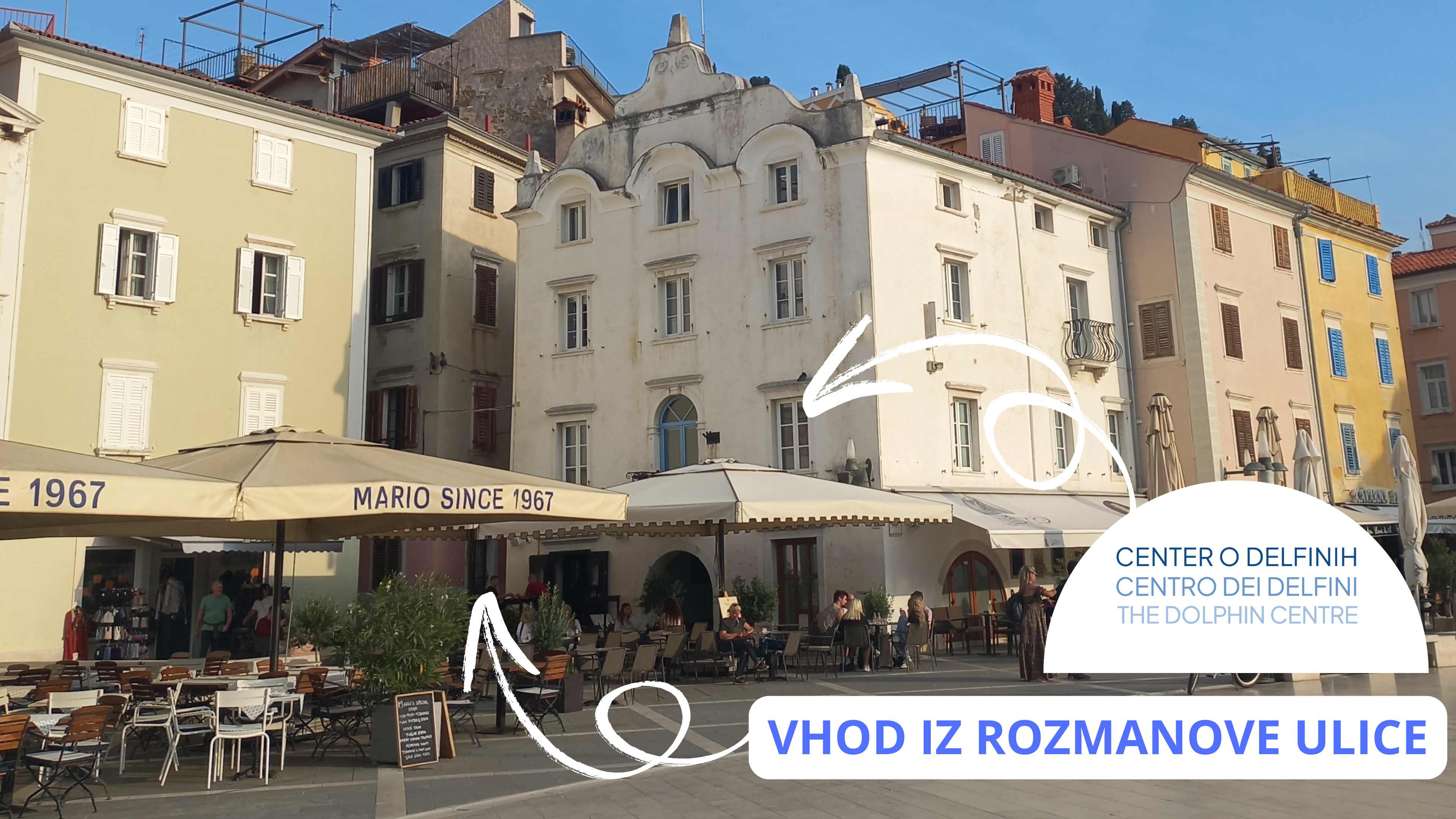Kopija izdelka Banner Morski dan dozivetij