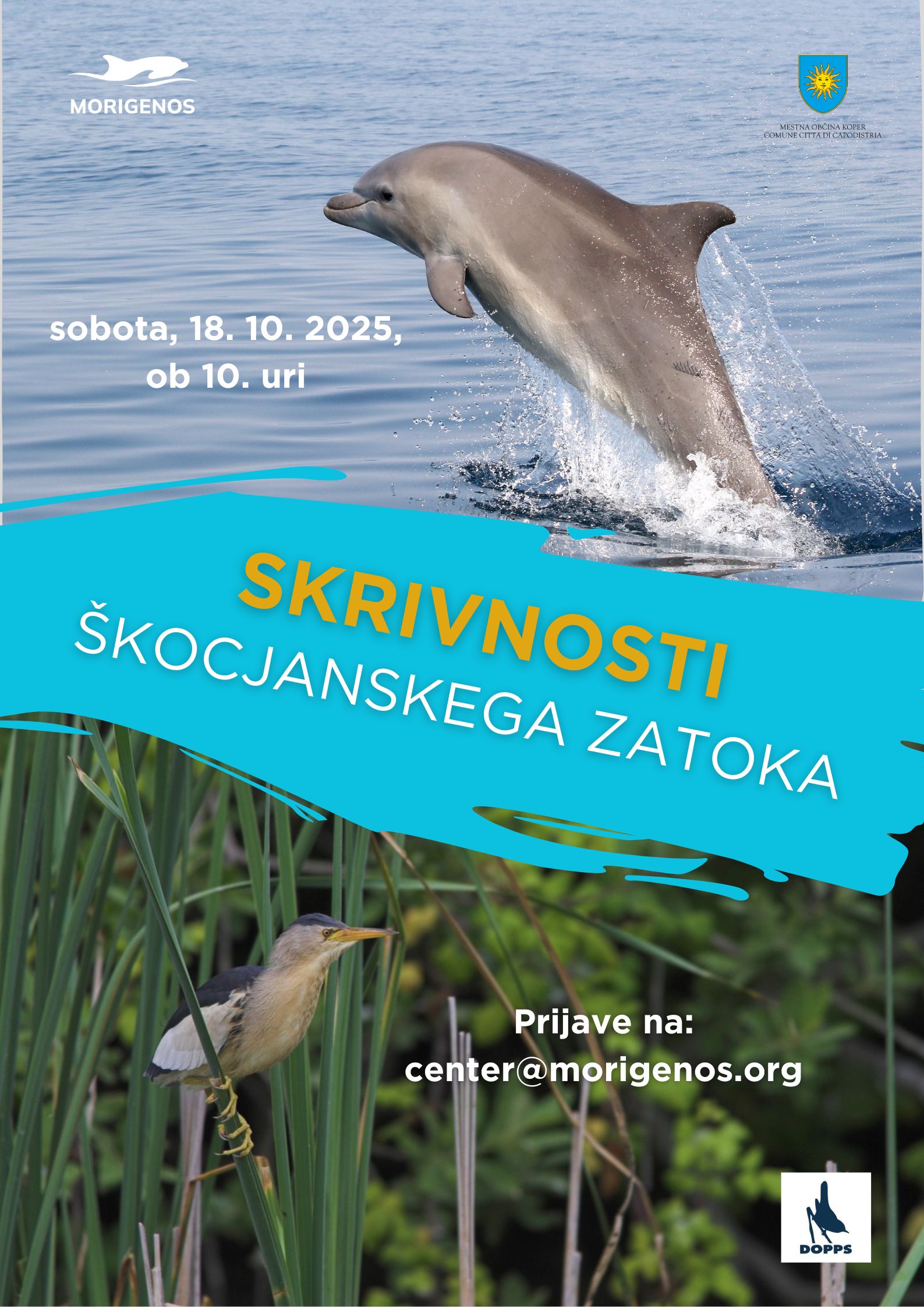 Skrivnosti Škocjanskega zatoka