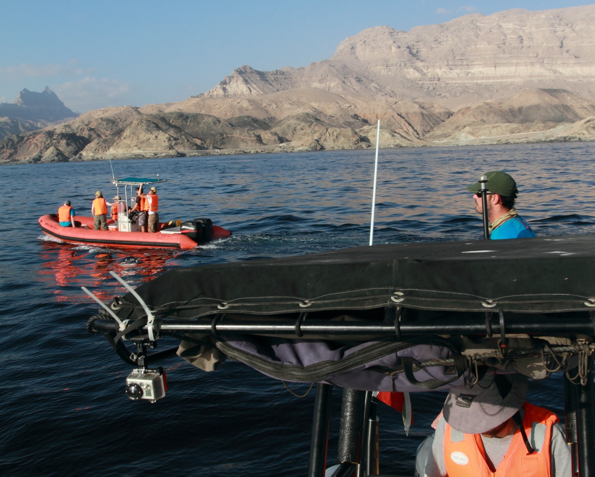 Credit- Environment Society of Oman; T.Collins – kopija